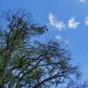 志愿金钥匙的头像