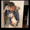 汤质的头像