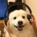 渔舟一挑灯的头像