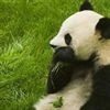 尘世一丁的头像