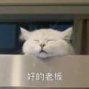 NewLife的头像